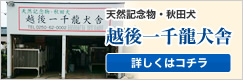 越後一千龍犬舎のホームページへはコチラから